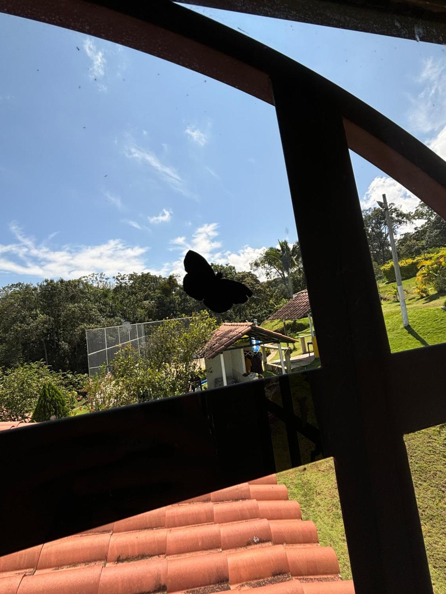 Finca Vacacional Guanani ソコロ エクステリア 写真
